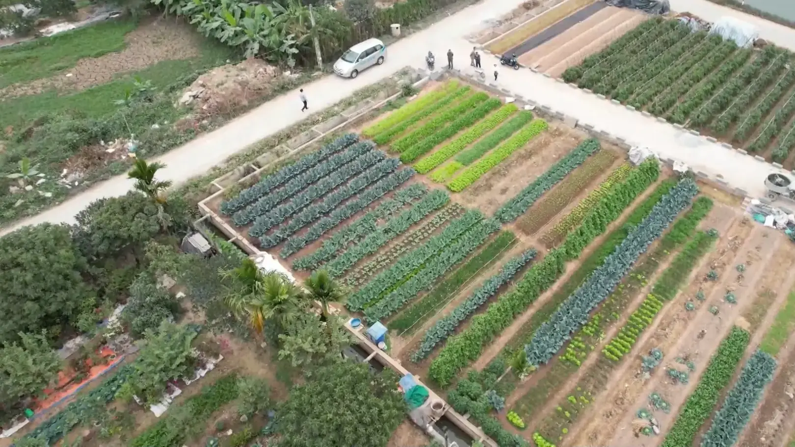 Phát triển nông nghiệp ở xã miền núi | Nông nghiệp nông thôn | 06/11/2025